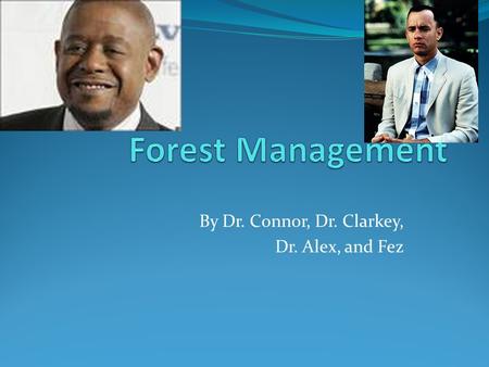 By Dr. Connor, Dr. Clarkey, Dr. Alex, and Fez. General Information 30% Foresters manage forests through forestry. Boreal forests are everywhere!