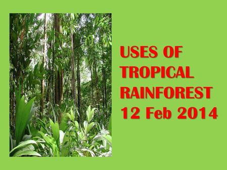 USES OF TROPICAL RAINFOREST 12 Feb 2014. Uses of Tropical Rainforest 1.Water Catchment 2.Green lungs of the earth 3.Source of timber 4.Medical application.
