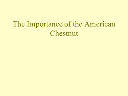 The Importance of the American Chestnut. Student Objectives Sunday, May 03, 2015 After today’s lesson, you will be able to: Gain an understanding of the.