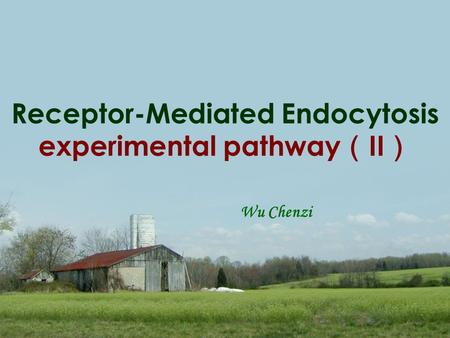 Receptor-Mediated Endocytosis experimental pathway （ II ） Wu Chenzi.