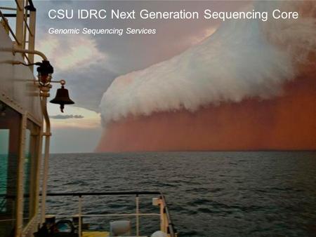 CSU IDRC Next Generation Sequencing Core Genomic Sequencing Services.