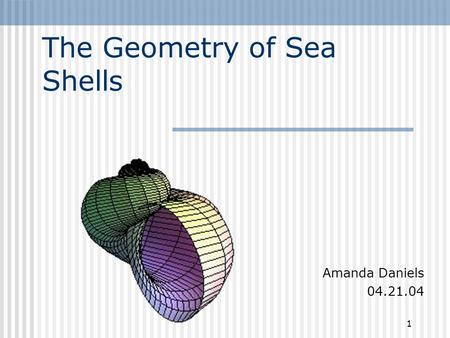 1 The Geometry of Sea Shells Amanda Daniels 04.21.04.