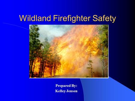 Wildland Firefighter Safety Prepared By: Kelley Jensen.
