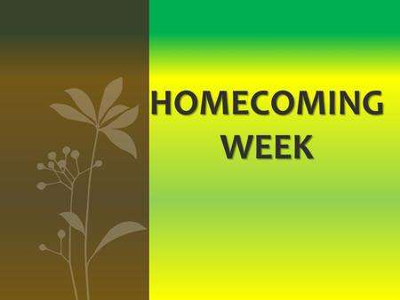 HOMECOMING WEEK. Monday: Activities and Decorations Every class woke up at three in the morning to come to school and decorate the quad with their dress.
