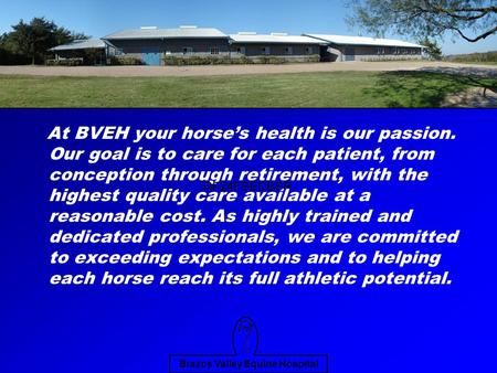 Brazos Valley Equine Hospital At BVEH your horse’s health is our passion. Our goal is to care for each patient, from conception through retirement, with.