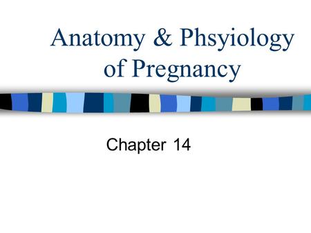 Anatomy & Phsyiology of Pregnancy