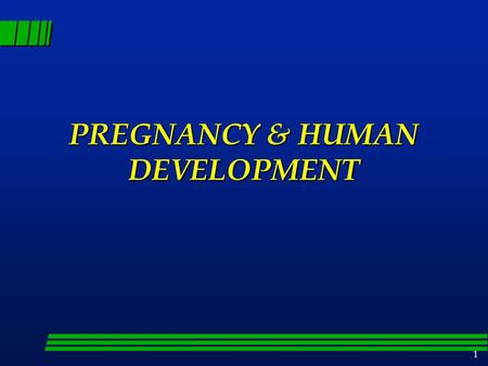 PREGNANCY & HUMAN DEVELOPMENT