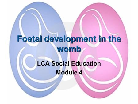 Foetal development in the womb LCA Social Education Module 4.