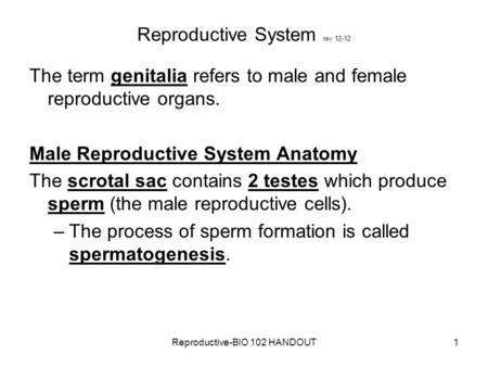 Reproductive System rev 12-12