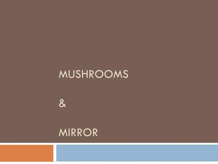 Mushrooms & Mirror.