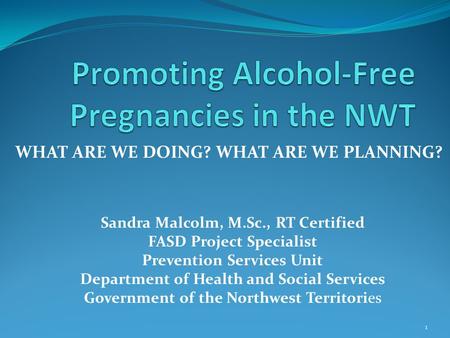WHAT ARE WE DOING? WHAT ARE WE PLANNING? 1 Sandra Malcolm, M.Sc., RT Certified FASD Project Specialist Prevention Services Unit Department of Health and.