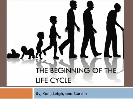 The beginning of the life cycle