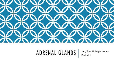 ADRENAL GLANDS Jen, Erin, Haleigh, Jeana Period 1.