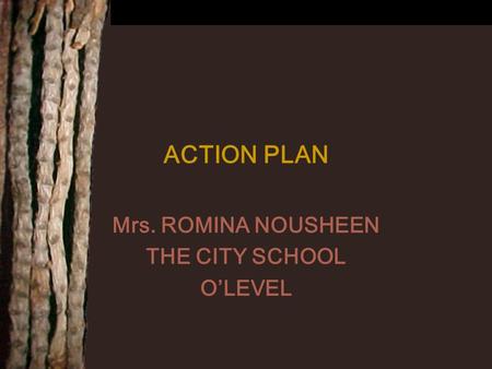 ACTION PLAN Mrs. ROMINA NOUSHEEN THE CITY SCHOOL O’LEVEL.