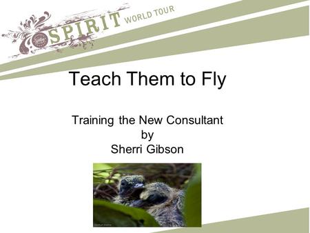 Teach Them to Fly Training the New Consultant by Sherri Gibson.