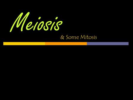 Meiosis & Some Mitosis.