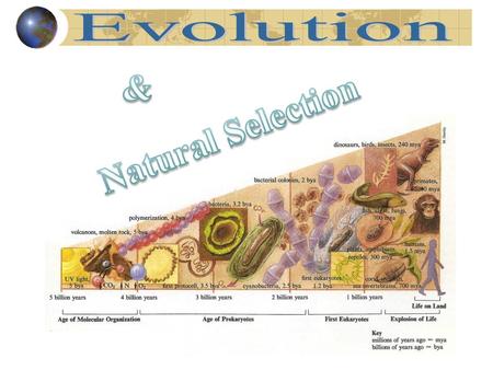 Evolution & Natural Selection.