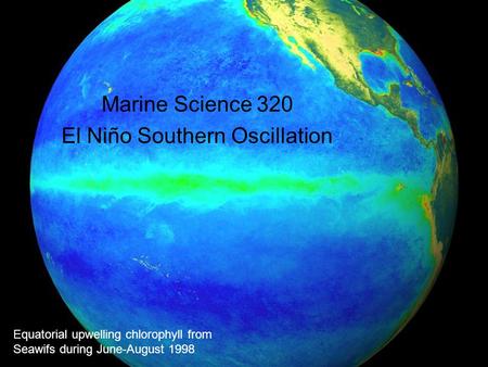 1 Marine Science 320 El Niño Southern Oscillation 1 Equatorial upwelling chlorophyll from Seawifs during June-August 1998.