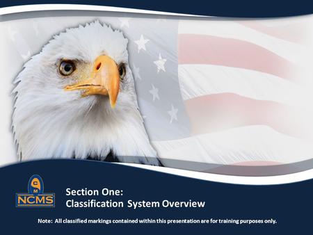 Section One: Classification System Overview Note: All classified markings contained within this presentation are for training purposes only.