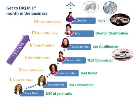 28 DAYS. Sales Director You reach DIQ (Director in Qualification) level when you have 10 personal team members. Sales Directorship is accomplished when.