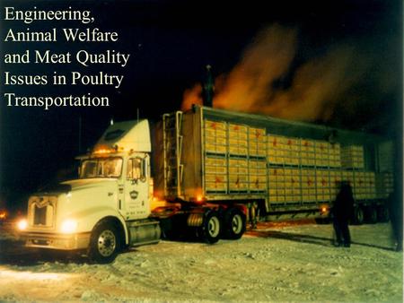 Engineering, Animal Welfare and Meat Quality Issues in Poultry Transportation.