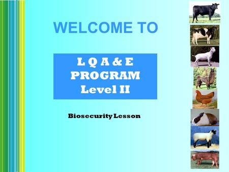 L Q A & E PROGRAM Level II Biosecurity Lesson WELCOME TO.