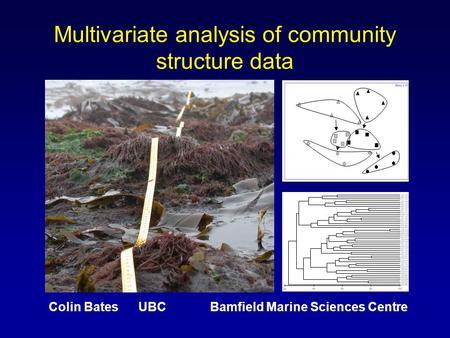 Multivariate analysis of community structure data Colin Bates UBC Bamfield Marine Sciences Centre.