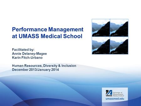 Performance Management at UMASS Medical School