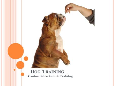 D OG T RAINING Canine Behaviour & Training. W HAT IS D OG T RAINING ? Promoting Learning In reality this is associating of cue words or other signals.