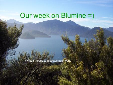 Our week on Blumine =) What it means to a sustainable world.