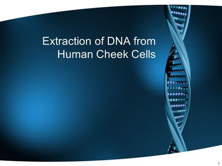 1 Extraction of DNA from Human Cheek Cells. 2 Extracting DNA from Your Cells Today you will extract DNA from your cheek cells. This process is similar.