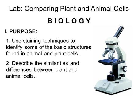 Lab: Comparing Plant and Animal Cells