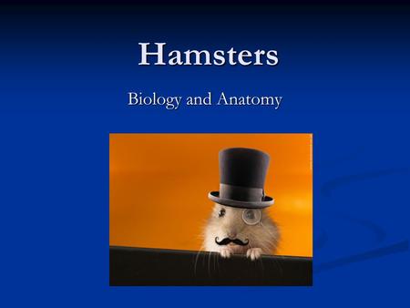 Hamsters Biology and Anatomy.