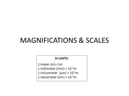 MAGNIFICATIONS & SCALES