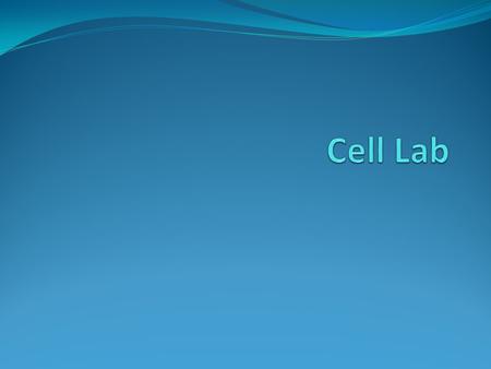 Cell Lab.