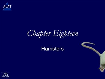 Chapter Eighteen Hamsters.  If viewing this in PowerPoint, use the icon to run the show (bottom left of screen).  Mac users go to “Slide Show > View.