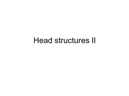 Head structures II.