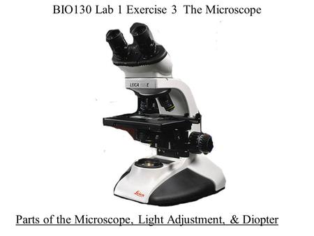 BIO130 Lab 1 Exercise 3 The Microscope