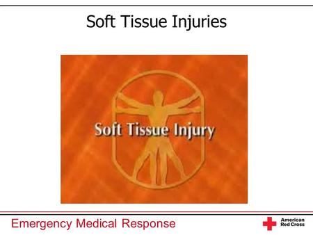Soft Tissue Injuries.