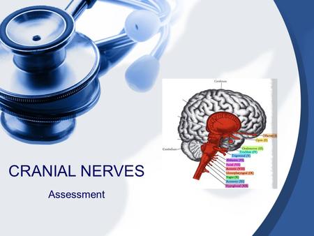 CRANIAL NERVES Assessment.