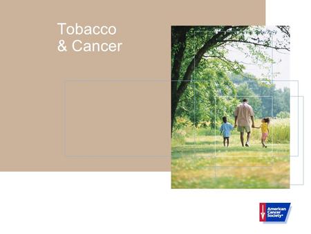 Tobacco & Cancer. Tobacco Use And Cancer Tobacco use, the most preventable cause of death in our society, accounts for at least 30% of all cancer deaths.