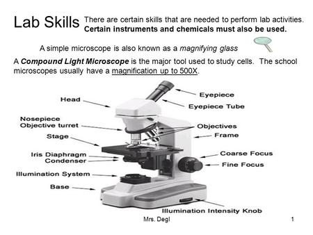 Lab Skills There are certain skills that are needed to perform lab activities. Certain instruments and chemicals must also be used. A simple microscope.