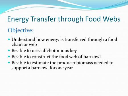 Energy Transfer through Food Webs