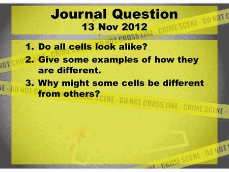 1.Do all cells look alike? 2.Give some examples of how they are different. 3.Why might some cells be different from others? Journal Question 13 Nov 2012.