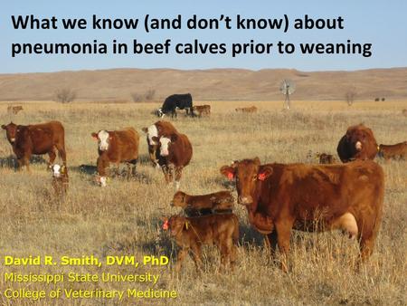 What we know (and don’t know) about pneumonia in beef calves prior to weaning David R. Smith, DVM, PhD Mississippi State University College of Veterinary.