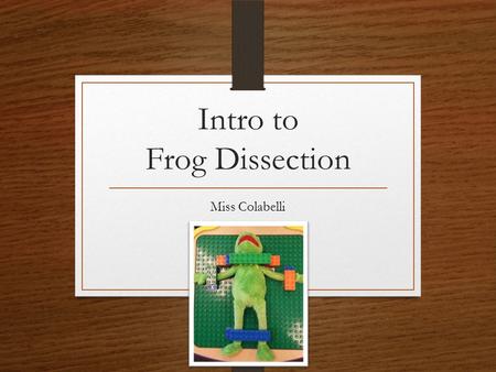 Intro to Frog Dissection