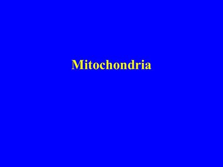 Mitochondria. Mitochondrial Structure (cont.) Mitochondrial Structure.