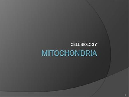 CELL BIOLOGY 1. 2 3 Mitochondria The organelle that releases energy in the cell. (The powerhouse of the cell) Only found in ANIMAL cells. Mitochondria.