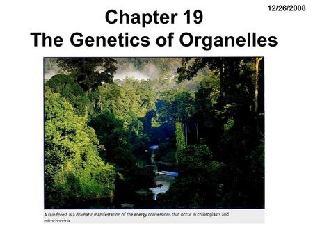 Chapter 19 The Genetics of Organelles 12/26/2008.