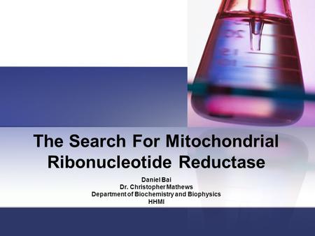 The Search For Mitochondrial Ribonucleotide Reductase Daniel Bai Dr. Christopher Mathews Department of Biochemistry and Biophysics HHMI.